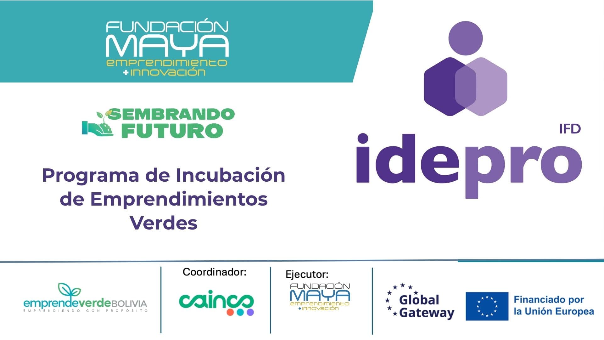 Portada Idepro webinar